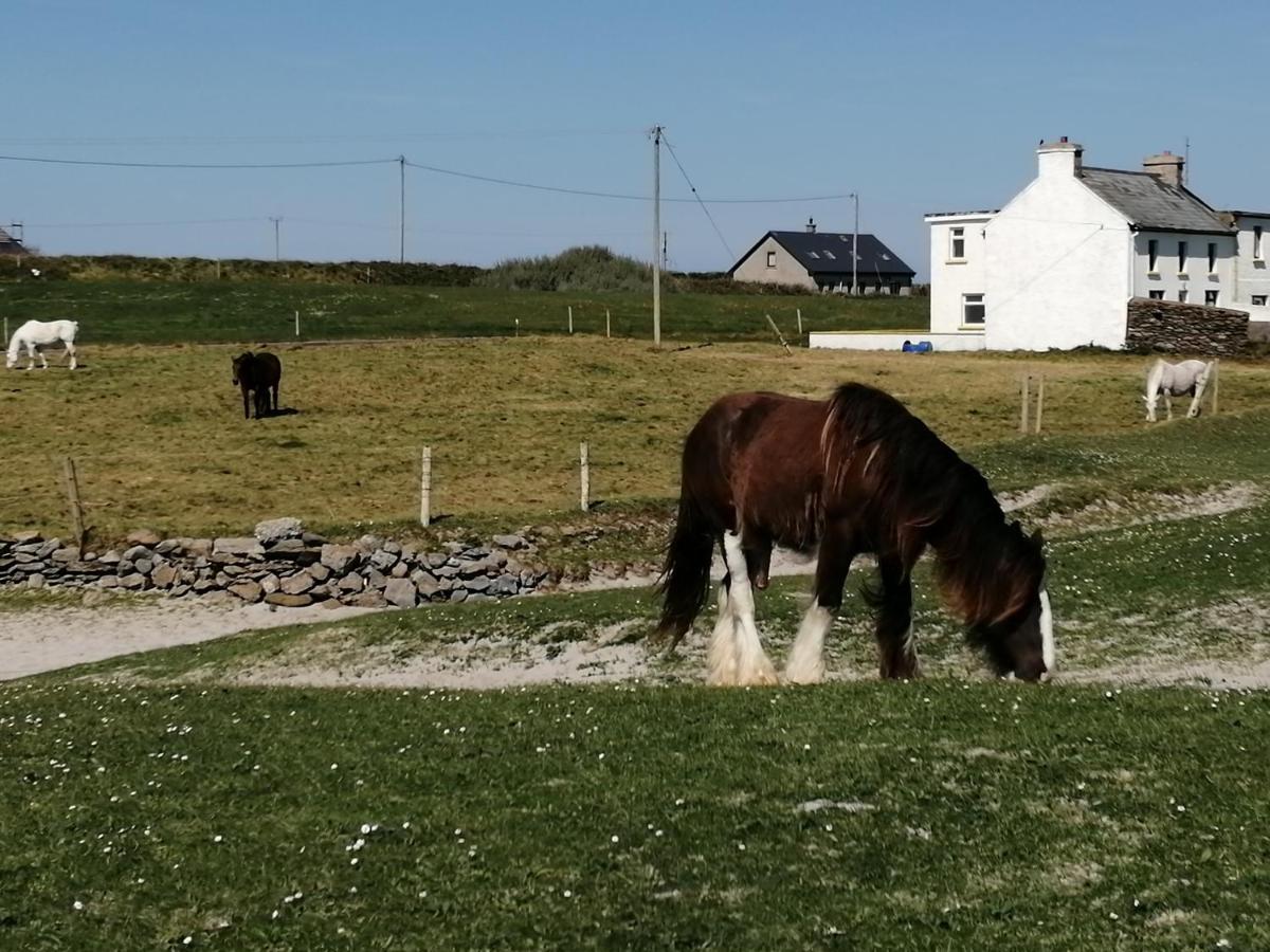 Home Comforts Castleisland Exteriör bild